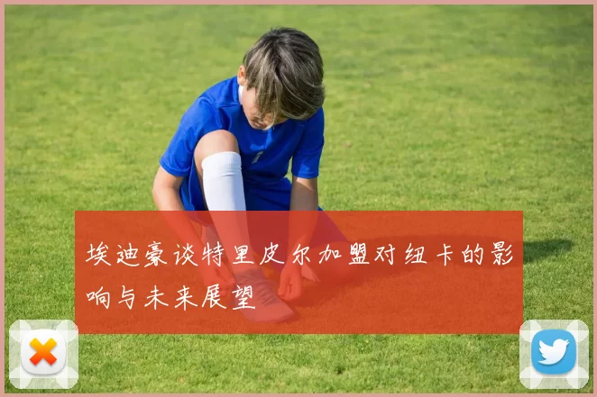 埃迪豪谈特里皮尔加盟对纽卡的影响与未来展望