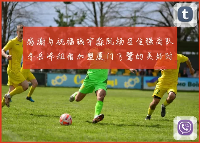 感谢与祝福钱宇淼阮杨吕佳强离队李岳峰租借加盟厦门飞鹭的美好时刻