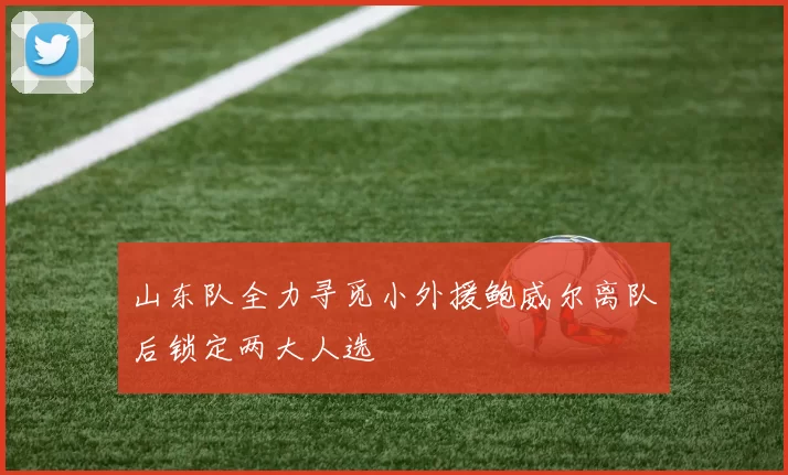 山东队全力寻觅小外援鲍威尔离队后锁定两大人选